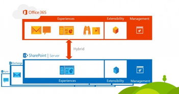 微软宣布年底前发布SharePoint Server 2016，推动企业办公平台升级